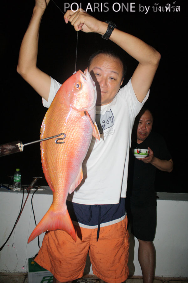 ขอตัวช่วยหน่อย ตัวนี้มันดื้อ :laughing: :laughing: :laughing: