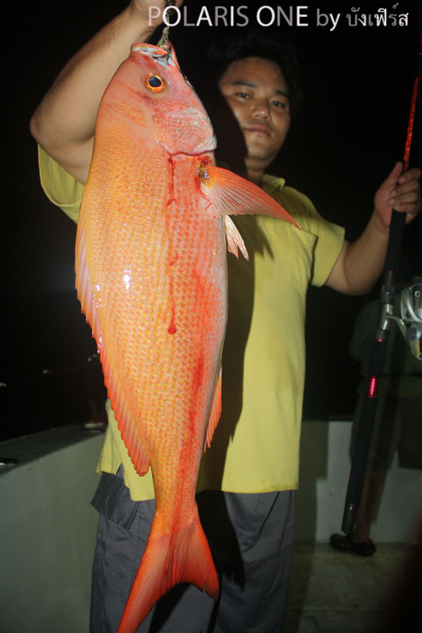 สวัสดีครับ น้าSTAR :love:ขอบคุณครับ :love:
สวัสดีครับ น้าfishingclub :love:
สวัสดีครับ น้าdesiver 