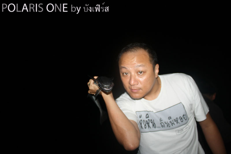 น้า EDDY อย่าหยิบมาเล่นครับ มันสะเทือนใจผม :cry: :cry: :cry: