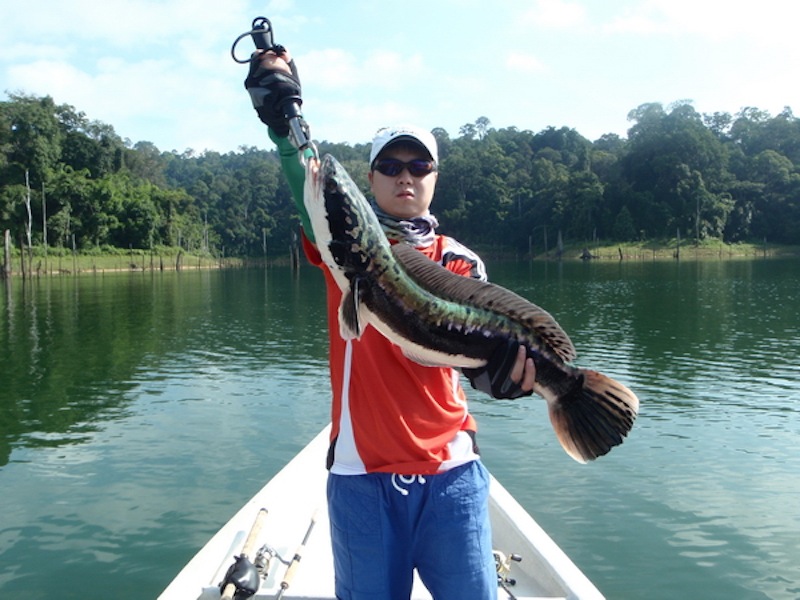 แว็ปไปดูเรือลำอื่นอีกรอบ

เหยื่ออะไรไม่รู้ มิได้แจ้งไว แต่ไซด์ใช้ได้ :cool: