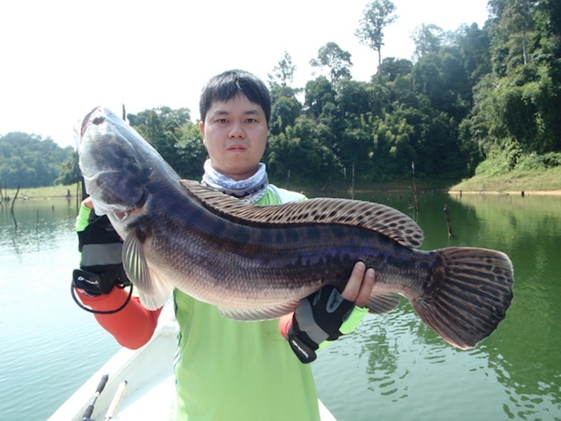 กลับมาเรื่อน้องเก่งวันสุดท้ายแระ

