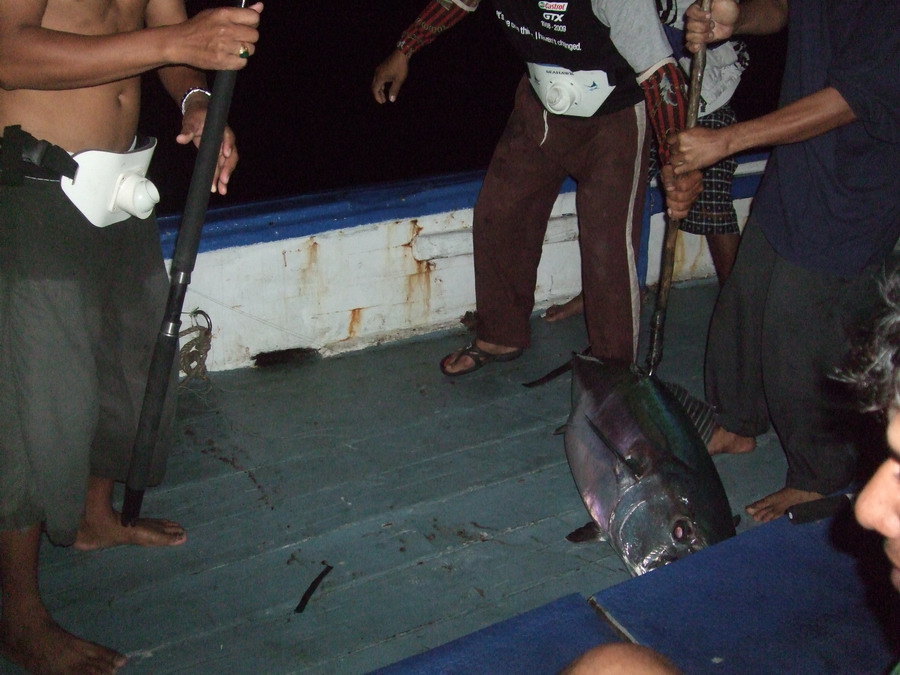 ขึ้นมาละครับ 

โอ้ววววววววววววววววววว :dance: :dance: :dance: