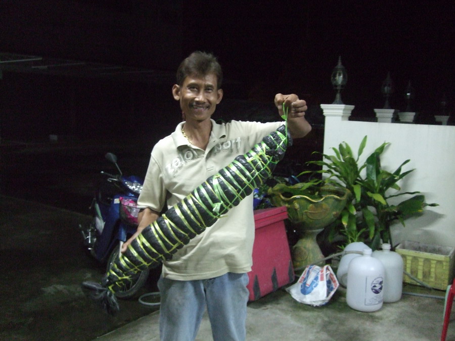 เสร็จแล้วคร๊าบบบบบบ :cool: