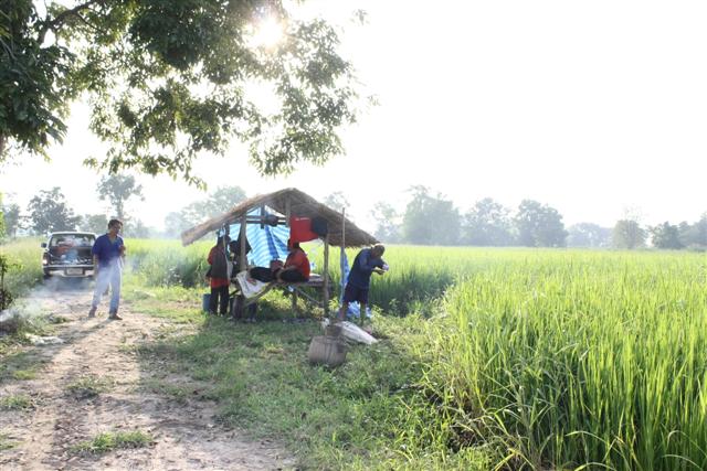 ถึงที่หมายครับ  ท้องนาที่สดใส  ในความสดใส  มันมีความเร้าใจอยู่นะครับ   ตามไป