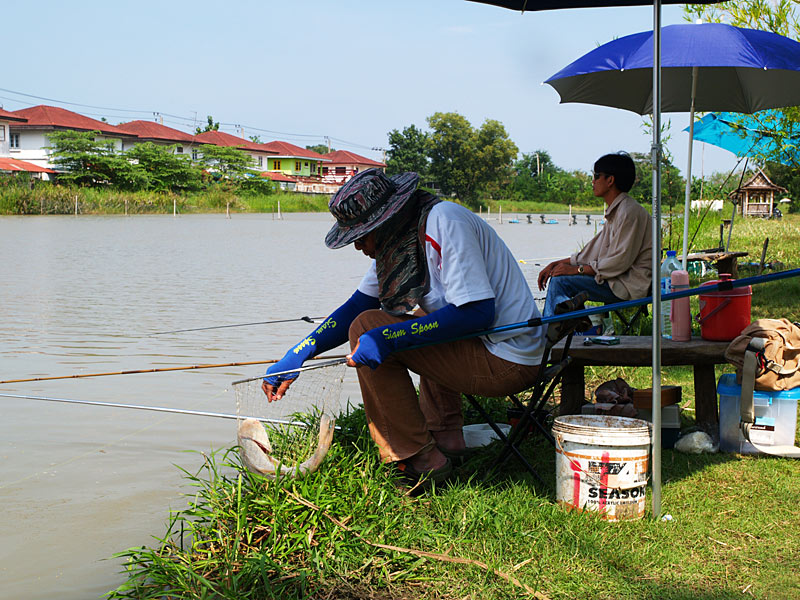 [q][i]อ้างถึง: onejvc posted: 01-11-2553, 15:08:47[/i]

สวัสดีครับน้ามิตร ตกปลาเก่งจังคงได้วิชาดีจ