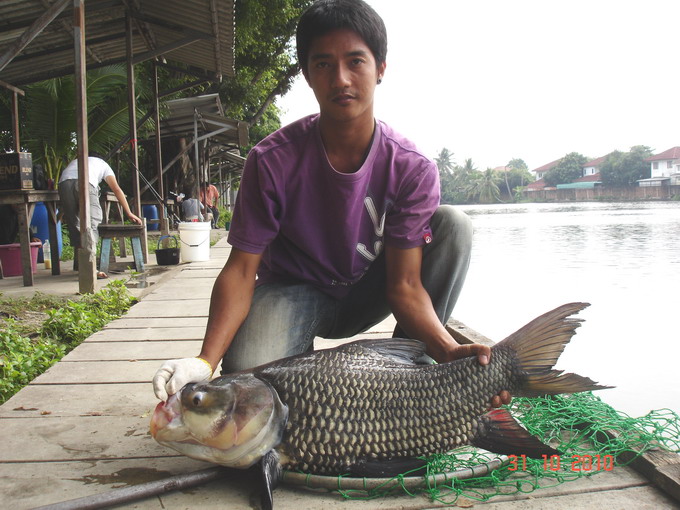 น้องเอกกับกะโห้ ตัวที่สิบหนึ่ง :cheer: :ch