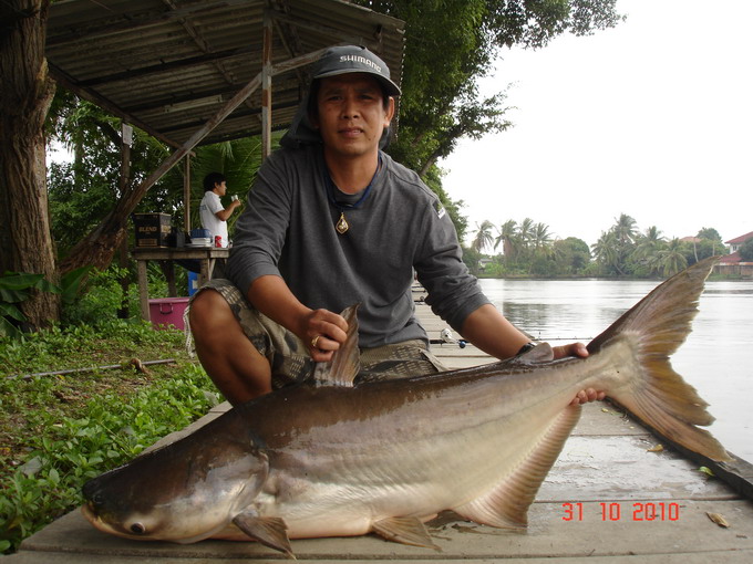 พี่กบกับผลงานตัวที่สิบสอง :cheer: :cheer: :cheer: 