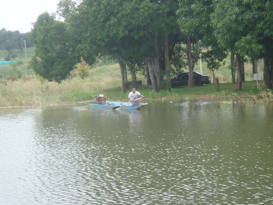 หลังจากให้โปรขิงเอาเรือมาส่งที่แพ...แล้วนั่งชมวิวไปเรื่อยๆ ลมเย็นๆ..