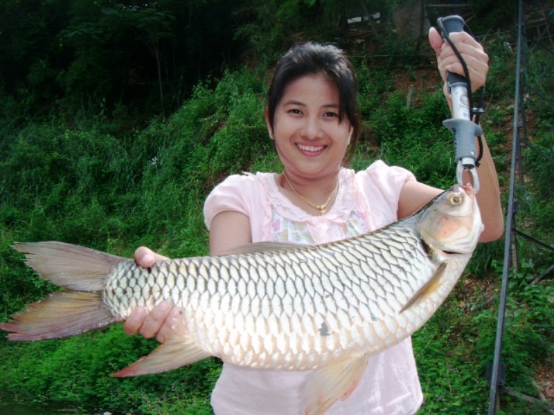 [b]ว่าจะลาด้วยภาพนี้ แต่ !! มีของแถมให