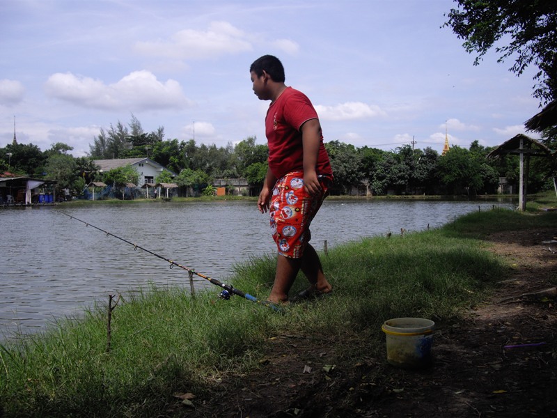 ปลาตอด