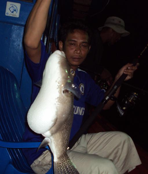 - ความตื่นเต้นเกิดขึ้นเรื่อยๆ...แต่ตัวนี้ไม่เป็นที่ปรารถนาของนักตกปลาชาวไทย
- ขำทั้งลำ กับน้ำ 48เมต