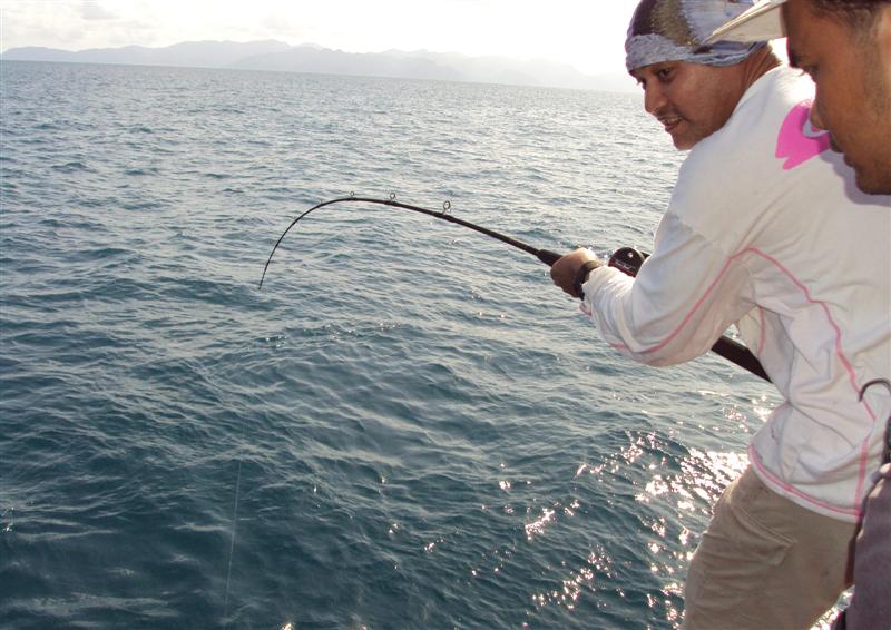 - Reel: Shimano SPC Charter 2000LD 
- Line: Team Daiwa Mono 20lb
- Bait: หมึกศอก
- Hooks: เบ็ดกะโ