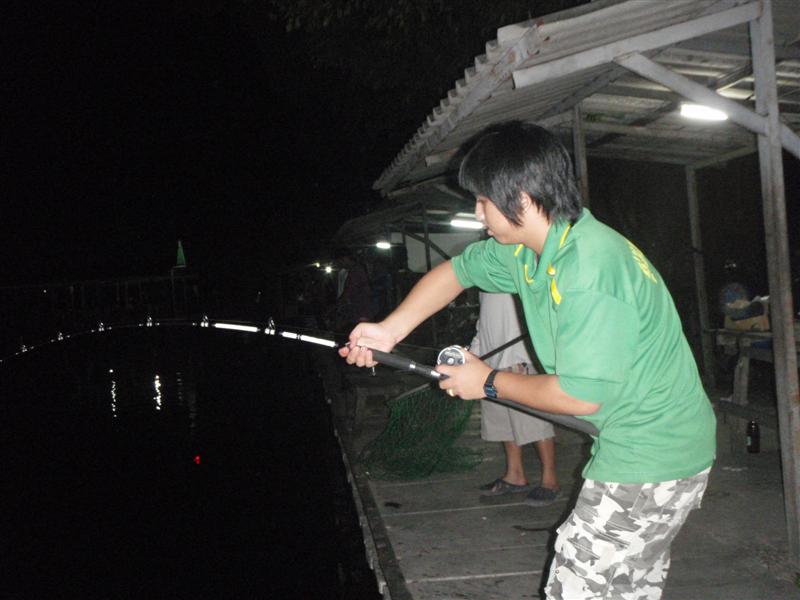 [q][i]อ้างถึง: ปลาค๊าฟ posted: 03-11-2553, 09:42:33[/i]

สวัสดีครับน้าอู๊ด และน้าๆชาวแก๊งค์ทุกท่าน