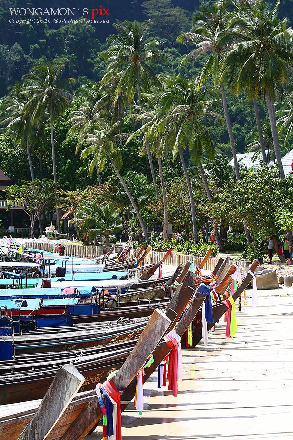 ชอบที่ 3 ครับภาพนี้ 

เด็กในร้านอาหารบอกคลื่นซึนามิสูงถึงยอดมะพร้าโน้นแนะครับ...โอ้วววววว... :ohh: