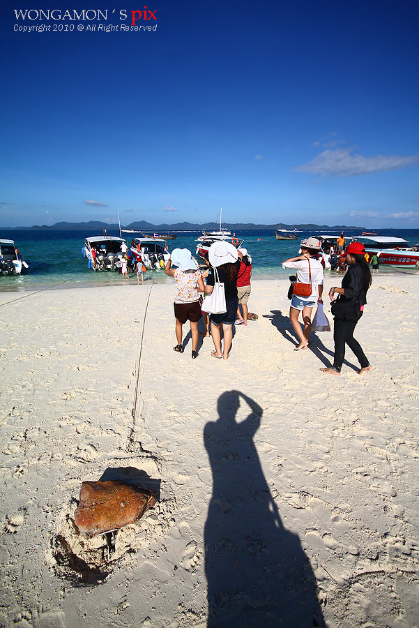 ขึ้นเรือกลับโรงแรมครับ :smile: