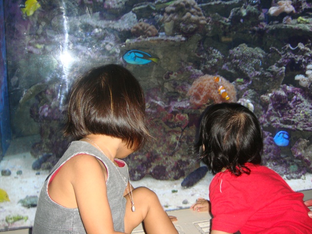 ดูกันใหญ่เลย...