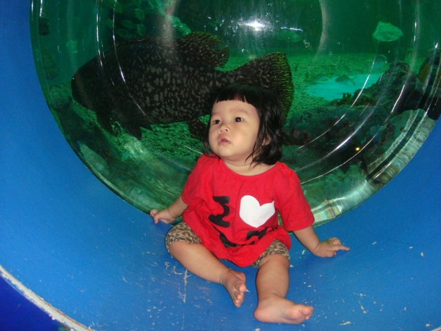สนุกเข้าละ..