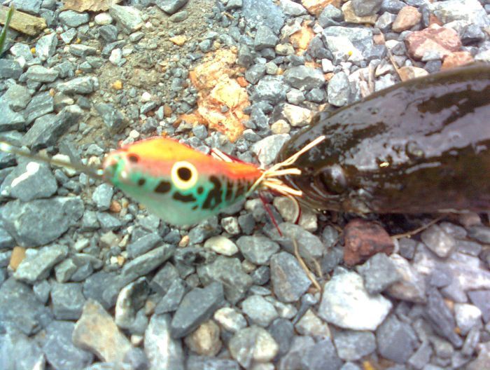 ย้ายอีก 2 ที่ทีผมโดนมั่ง :grin: