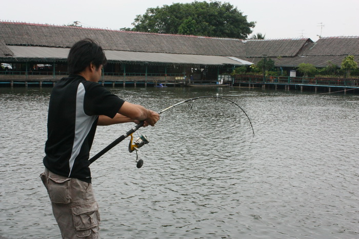 ปลากินห่างตัวนิดแต่ก็ได้อยู่