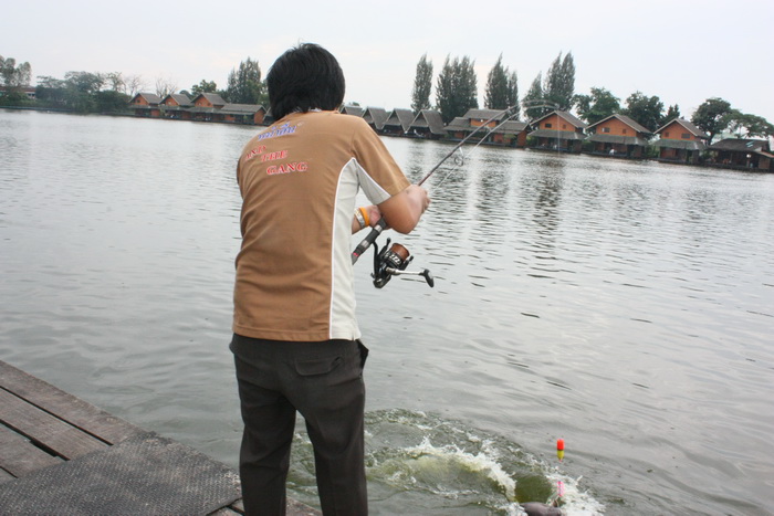 หลังนี้ คุ้นๆ