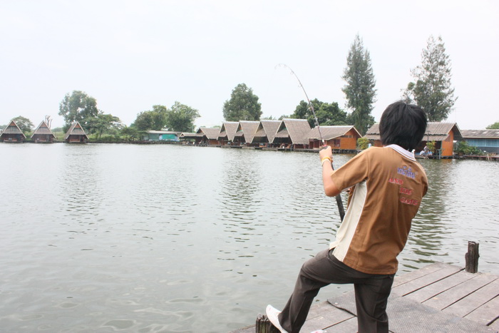 ปลาฉะหวายเหมือนเดิม