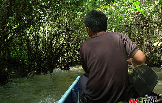 พอถึงแก่งตื้นเราสามคนลงเรือลากไปตามจุดที่นัดไว้ ไอ้แก่งนี้มันมหาโหดเสียเหลือเกิน ทางน้ำไหลประมาณ สี่