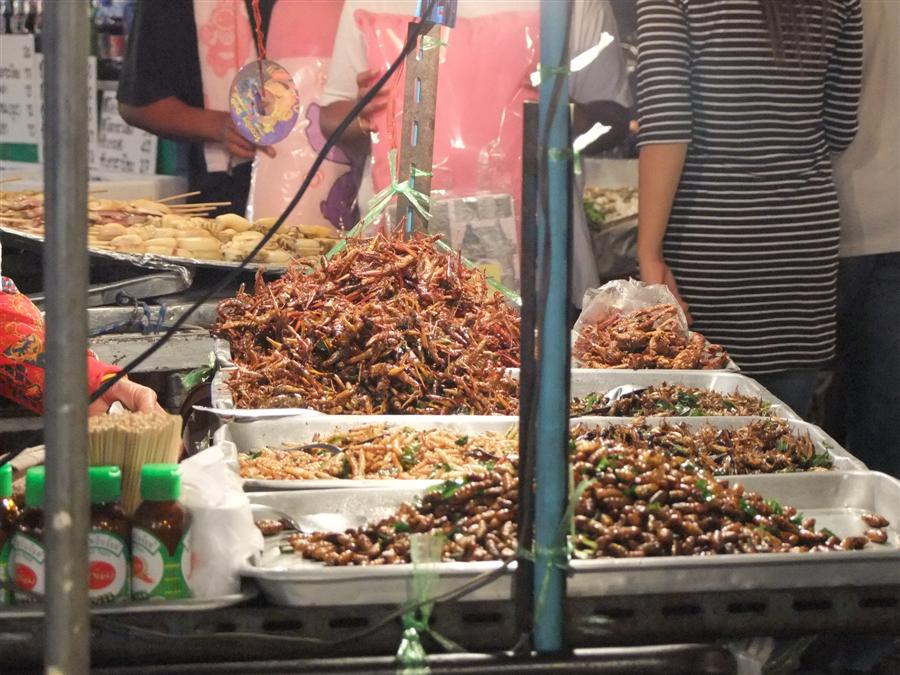 เอ้านั่น ปาทังก้า ทอด  :umh: :umh: :umh: :umh: :umh: :umh: :um