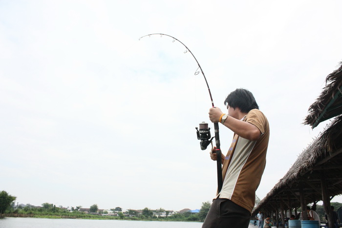 หันมาตกฝั่งนี้ปลา(สวาย)ก็ยังตามมากิน   เฮ้อ
 :cool: :cool: :cool: