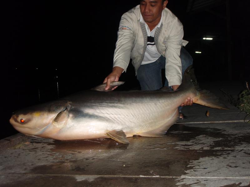 ขึ้นบนฝั่ง  ได้ดังหวัง  นับว่ารอด
เหลือน้ายอด  ผู้เดียวดาย  ยังต้องหา
ขออีกตัว  ขออีกหนึ่ง  วอนน้อ
