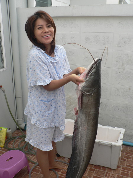 เข้าฤดูกาลแล้ว  ใครสนใจบ้าง :grin: