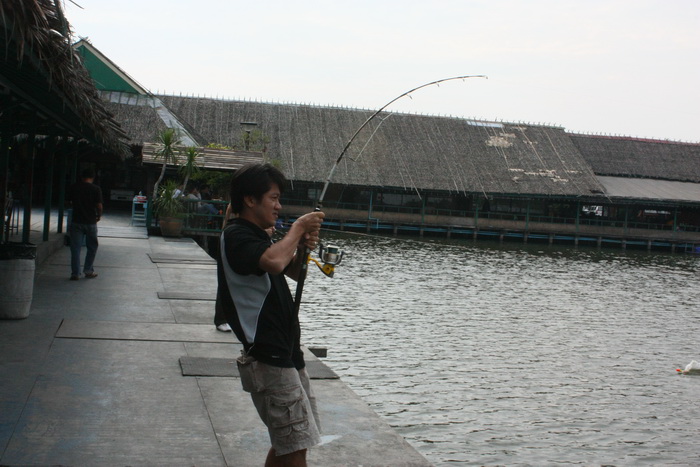 พอตาบอยกลับไป ปลาก็เริ่มกิน



แปลกมั้ย   :laughing: :laughing: :laughing: :laughing: :laughing: