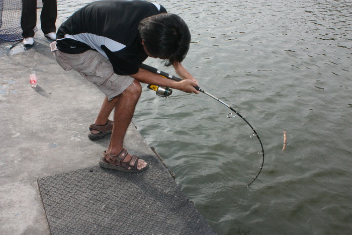help me help me
big fish attack me
โอ้ ไม่ไหวจนอุทานเป็นภาษาปะกิดเลย
 :laughing: :laughing: :laug
