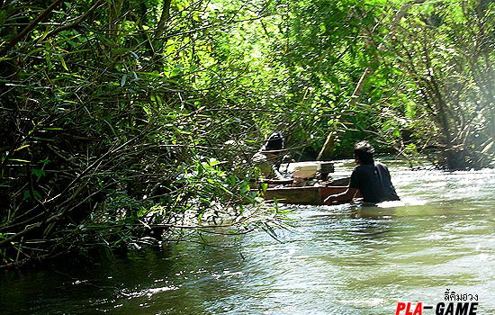 เรือลำใดที่นำหน้า หรือเรือลำไหน ที่เข้าป่าริมน้ำ ส่วนมากจะเป็นป่าหนามแทบจะทั้งนั้น ...... 
หากเรือล