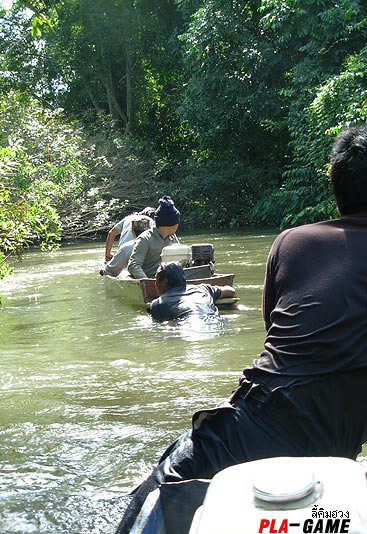 งานนี้ทั้งงาน " น้องมืด" โชว์ฝีมือการขับเรือระดับพระกาฬ ...... 
ทั้งขับขึ้น คัดลง ........ครบเครื