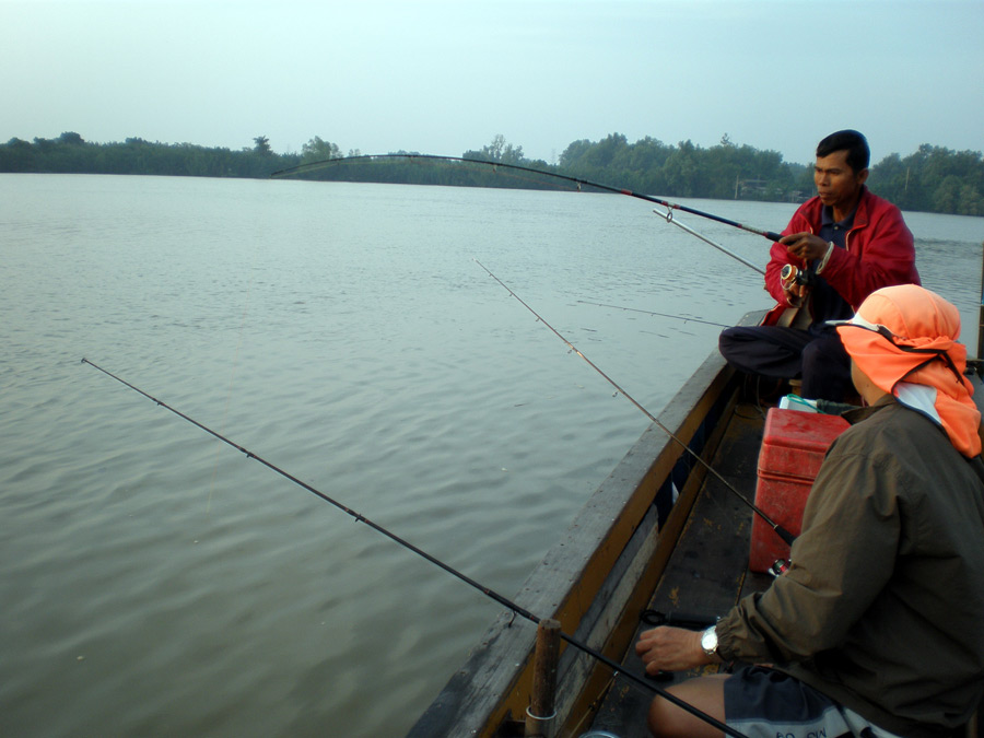 ไม่ต้องเป่านกหวีดเริ่มต้น พอถึงหมายไต๋ขยับเรือเข้าหมายปักไม้ยึดลำเรือเข้าที่แล้วก็ ลุยๆๆๆเลยครับ
ต่