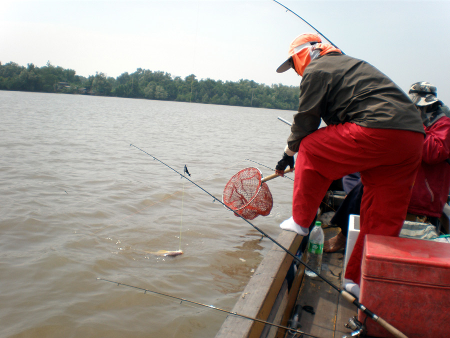 ท้ายเรือไต๋ เจ้าเก่า กำลังอัดปลาอยู่ เฮียเล็กกำลังช่วยช้อนปลาให้ (อยู่กลางเรือก็อย่างงี้ล่ะ)   :grin