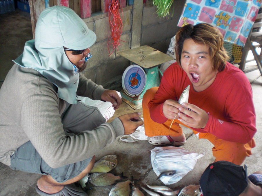ระหว่างจัดปลาเพื่อถ่ายภาพนั้น  เพร