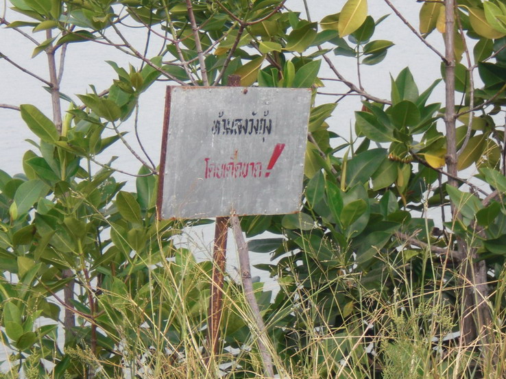 ส่วนของผม ภาพหมดจดแล้วครับ  

ในฐานะ