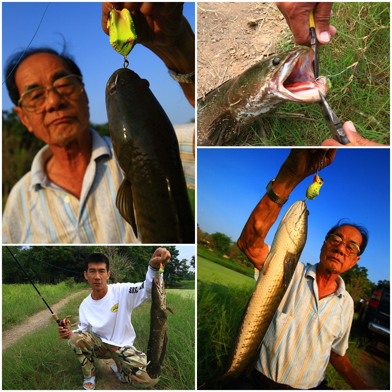 ผลงานของวันที่ผ่านมา ที่หมายนี้ครั