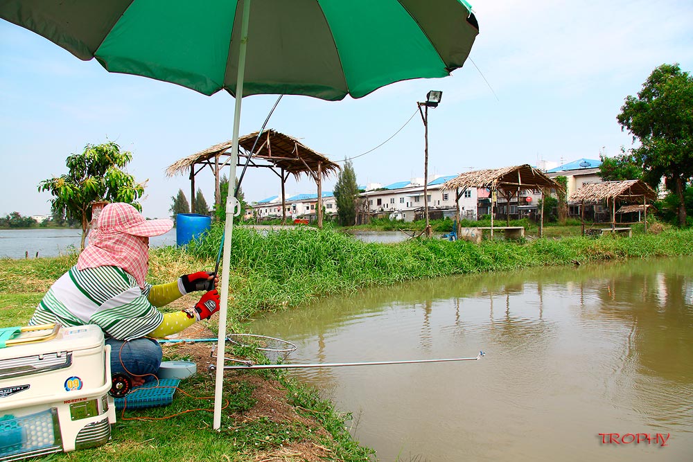 เสียงดังขวับสนั่น อ้าวน้าต้อมได้วัดอีกแล้ว คันโค้งวูบอย่างแรงเหมือนเดิมเลยครับ ส่วนผมก็ยังนั่งทำตาปร