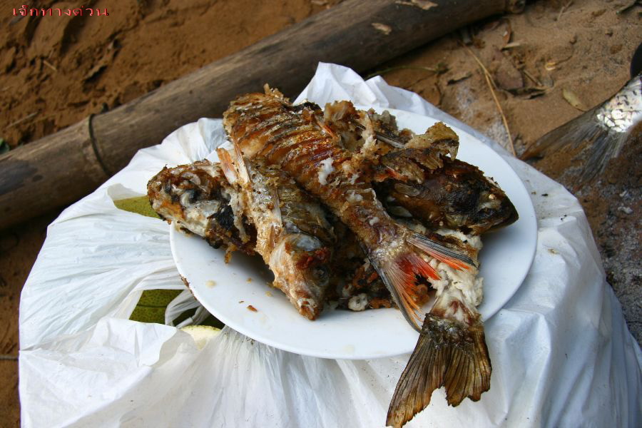 [b]หิวกันไหมครับพอเห็นรูปนี้แล้ว :grin:[/b]