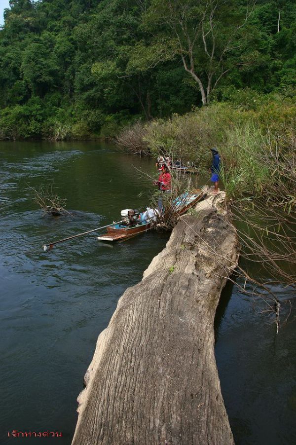 [b]ตอนล่องเรือลงนี้ก็แวะตีเหยื่อปลอมไปเรื่อย :grin:[/b]