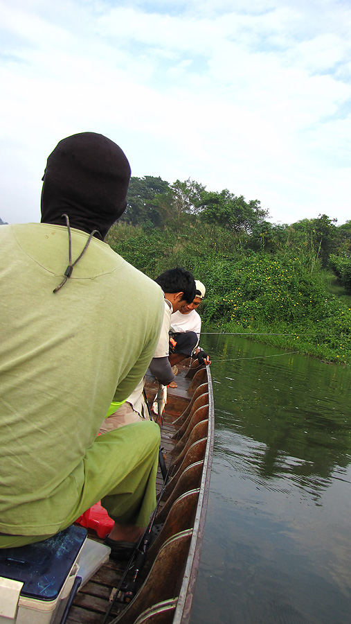 
   ลอยเรือลงมาในเขื่อนดีกว่า บนต้นน