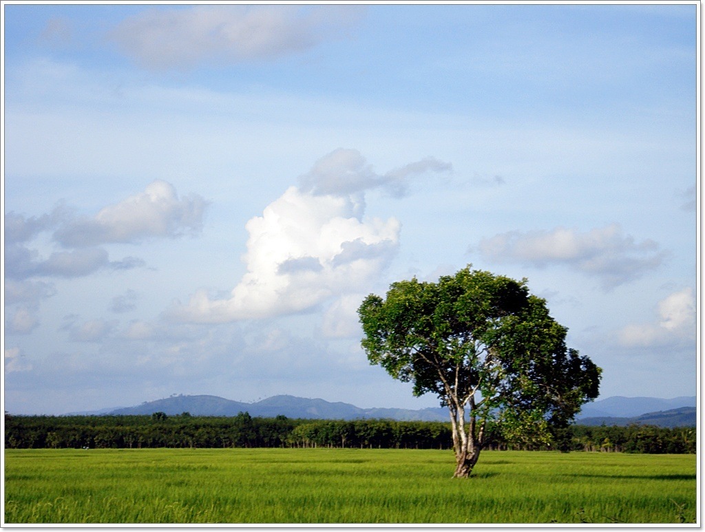  [b]เนินนานแล้ว...ภาพเหล่านี้ ลาจาก..ความทรงจำ ในแถบ..ฅนเมือง[/b]