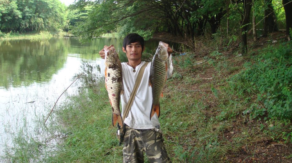 ไม่นานก็ตีต่อไปตีที่เดิมจิบตัวที่2ก็ตามขึ้นมา :grin: