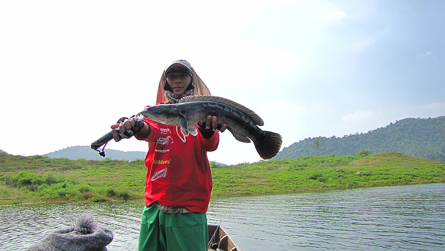 
     ตัวนี้ขึ้นมาสีกัดอ้มเขียวแล้ว   แสดงว่าจะหาคู่แน่ๆๆ    :love: :love: :love: