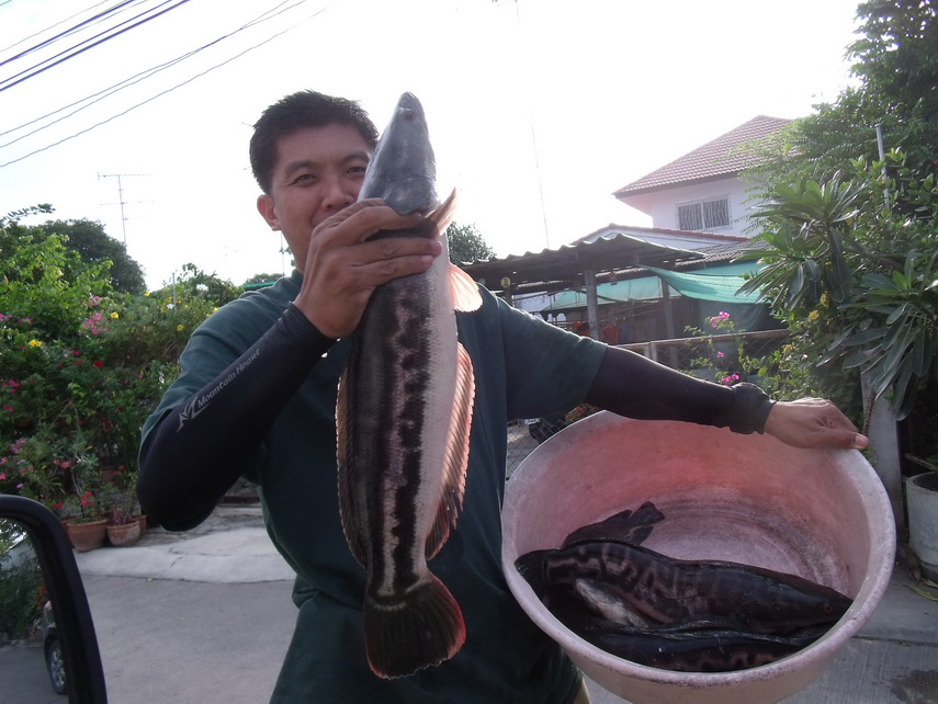 ยังเห็นไม่ชัด  จัดไป   น้า  wanwan  สุดหล่อของเราครับ   :laughing: :laughing: :laughing:

  