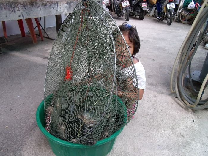 เดี๋ยวหนูจะหม่ำ   :umh: :umh: :umh: