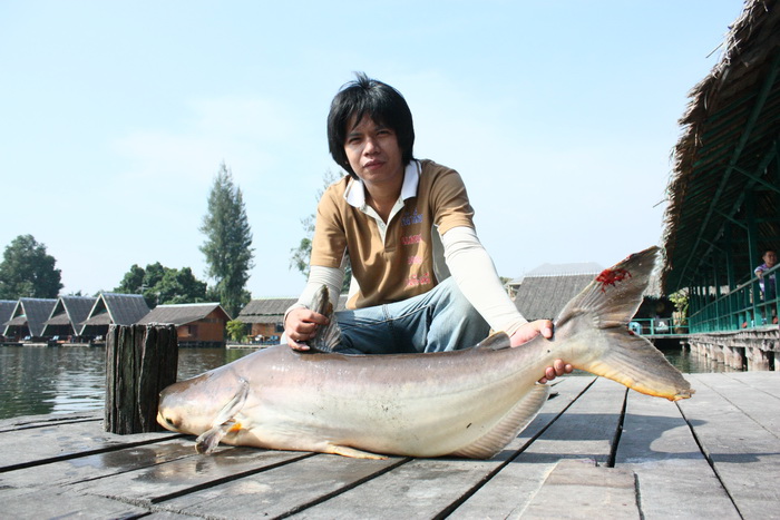 [q][i]อ้างถึง: Wit-RAW_Company posted: 10-11-2553, 23:43:44[/i]

[q][i]อ้าง