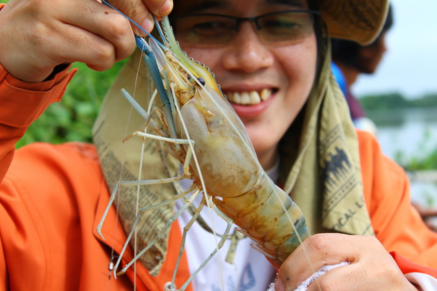 แต่ไม่นานความเซ็งก็ค่อยจางหายไปเพราะตัวนี้ ครับ กุ้งแม่น้ำตัวแรกในชีวิต เปิดซิงด้วยกุ้งก้ามเหลือง คร